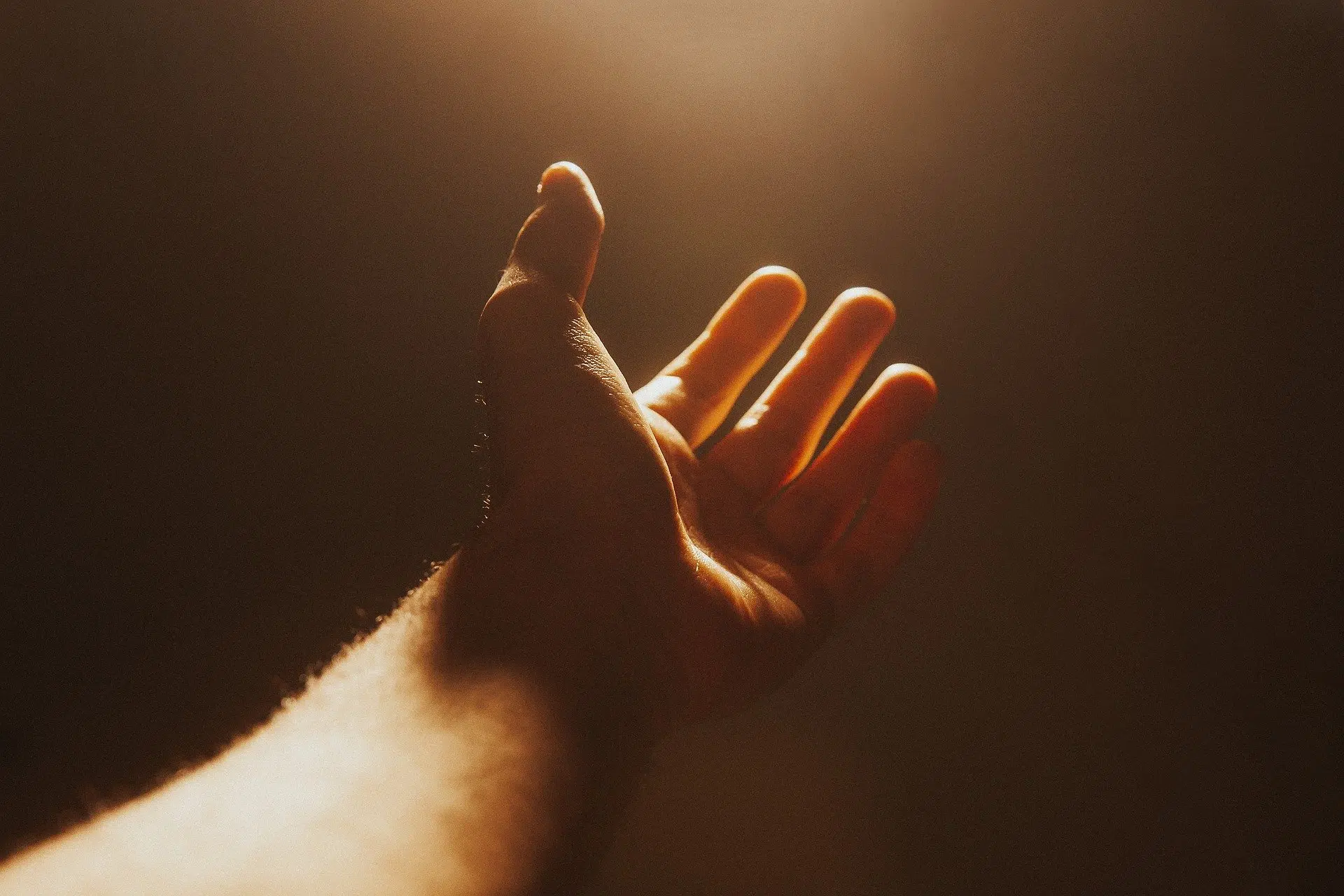 hand-4661763_1920 hand 4661763 1920